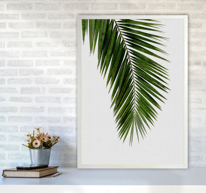 Palm Leaf I Print By Orara Studio, Framed Botanical & Nature Art Print A1 Oak Frame