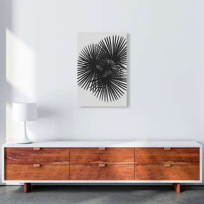 Fan Palm Black & White Print By Orara Studio A2 Canvas