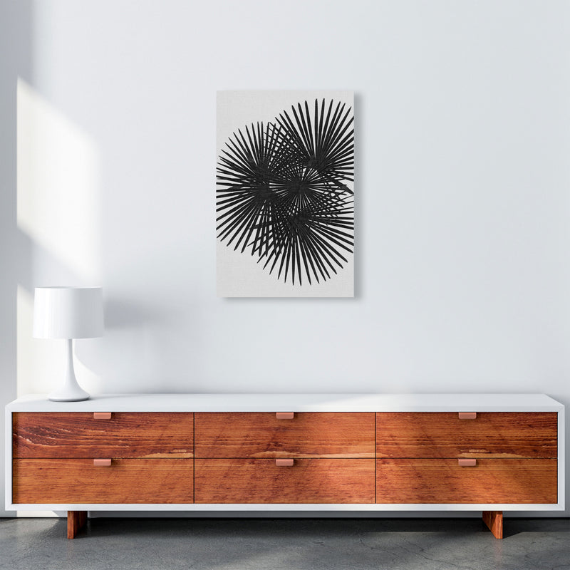 Fan Palm Black & White Print By Orara Studio A2 Canvas