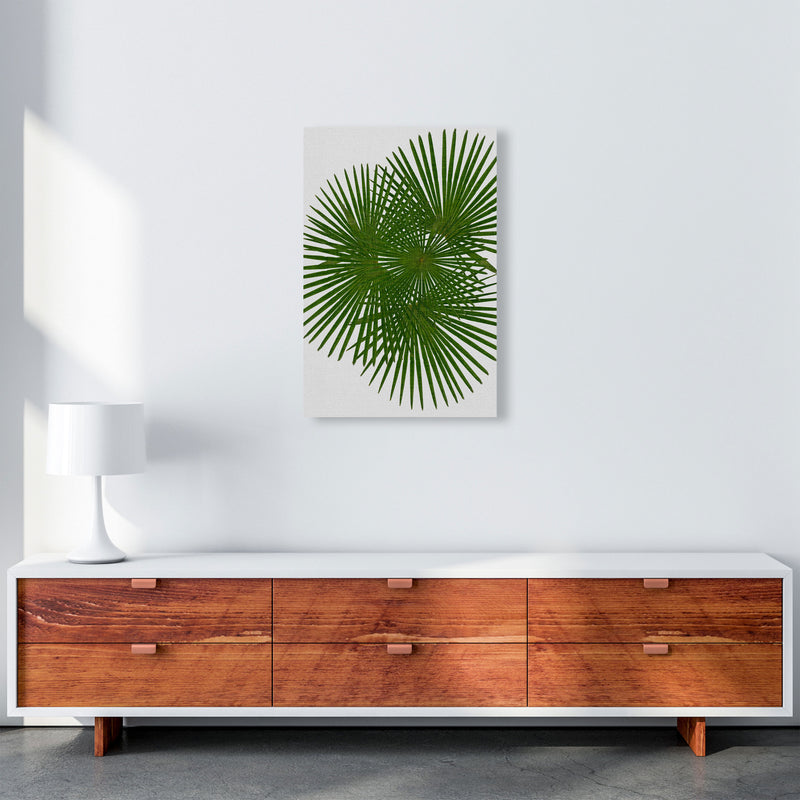 Fan Palm Print By Orara Studio, Framed Botanical & Nature Art Print A2 Canvas