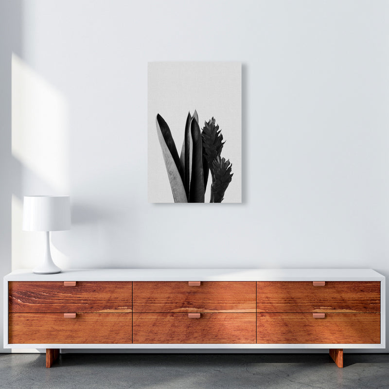 Flower Black & White Print By Orara Studio A2 Canvas