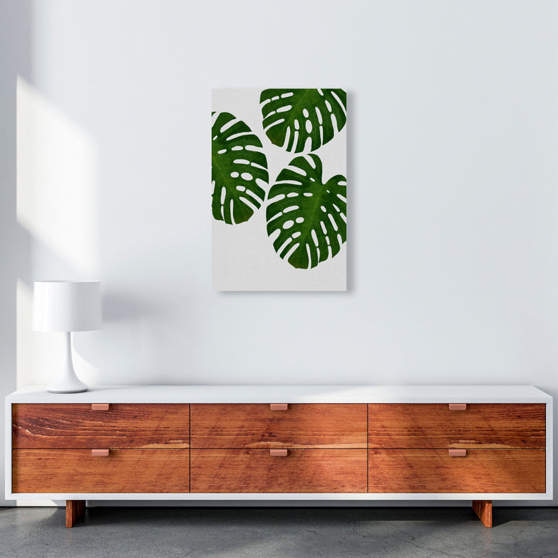 Monstera Leaf III Print By Orara Studio, Framed Botanical & Nature Art Print A2 Canvas