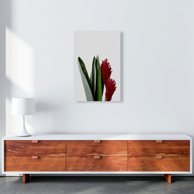 Red Flower Print By Orara Studio, Framed Botanical & Nature Art Print A2 Canvas