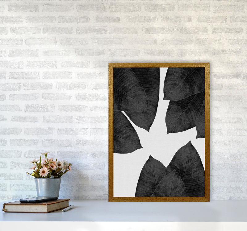Banana Leaf Black & White I Print By Orara Studio A2 Print Only