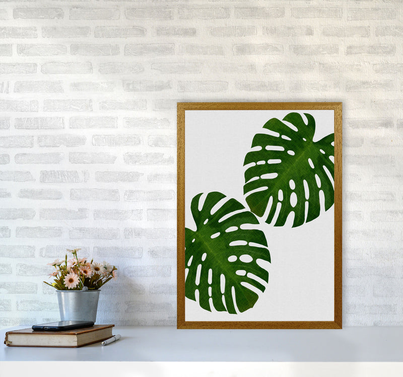 Monstera Leaf II Print By Orara Studio, Framed Botanical & Nature Art Print A2 Print Only