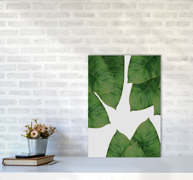 Banana Leaf I Print By Orara Studio, Framed Botanical & Nature Art Print A2 Black Frame