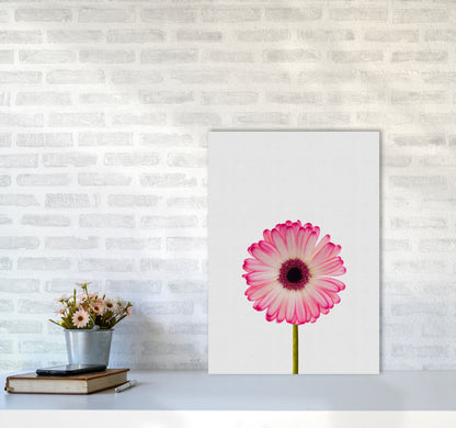 Daisy Still Life Print By Orara Studio, Framed Botanical & Nature Art Print A2 Black Frame