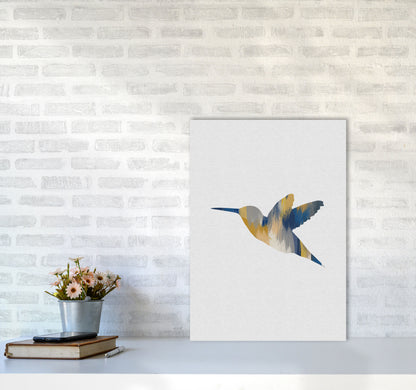 Hummingbird Blue & Yellow I Print By Orara Studio Animal Art Print A2 Black Frame