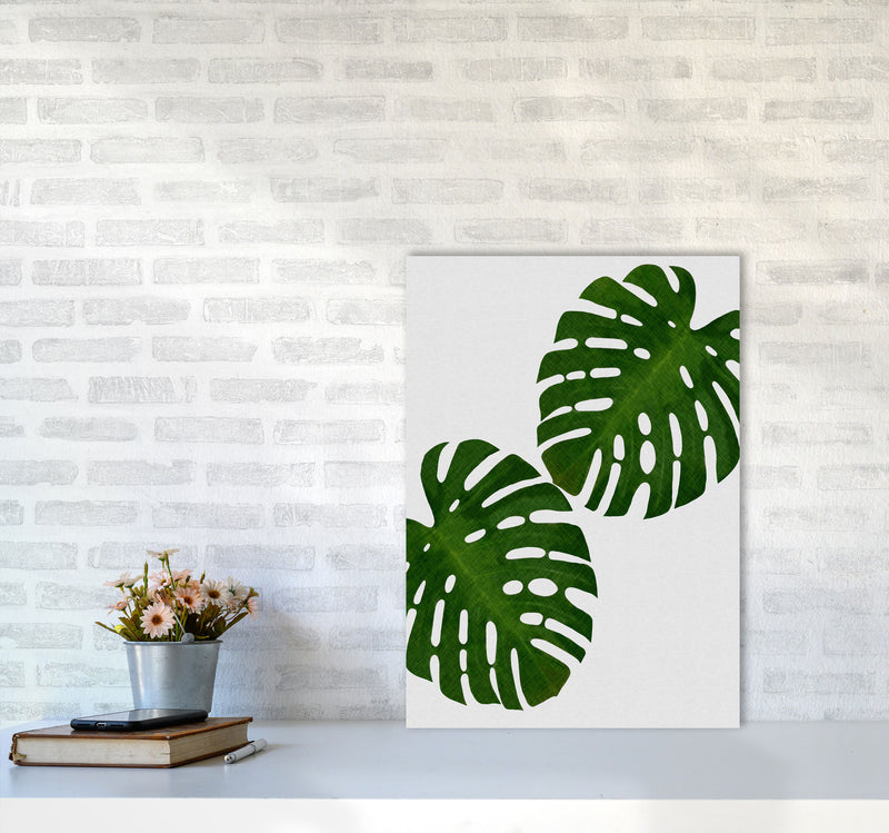 Monstera Leaf II Print By Orara Studio, Framed Botanical & Nature Art Print A2 Black Frame