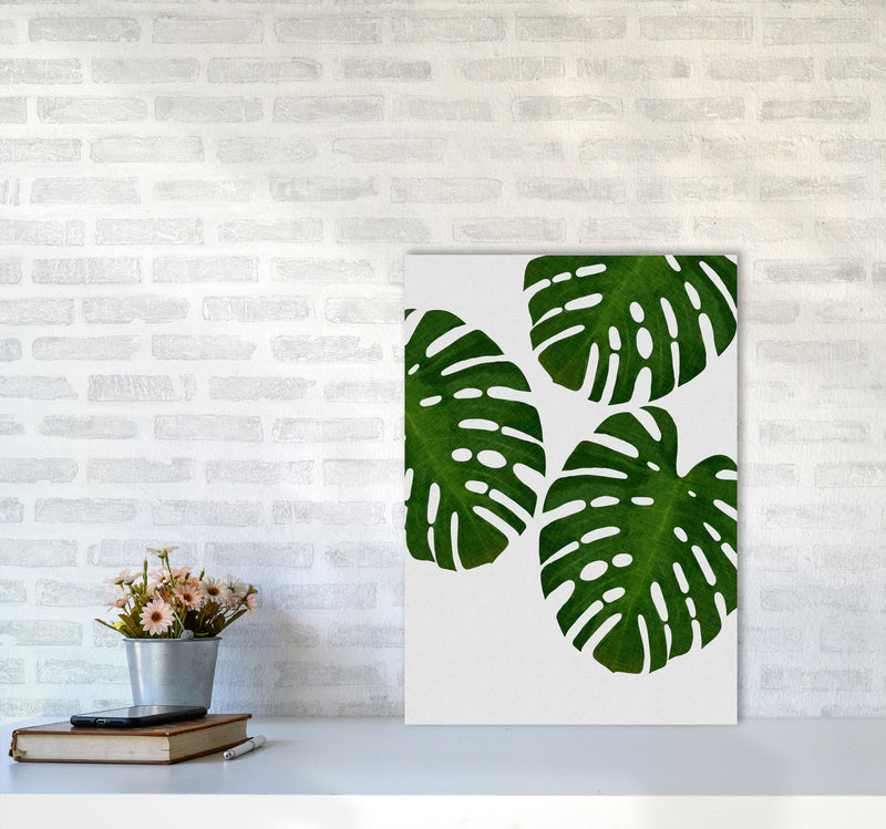 Monstera Leaf III Print By Orara Studio, Framed Botanical & Nature Art Print A2 Black Frame
