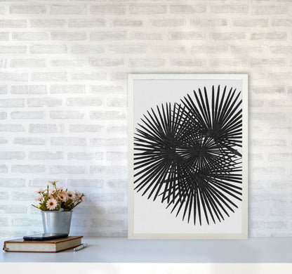Fan Palm Black & White Print By Orara Studio A2 Oak Frame