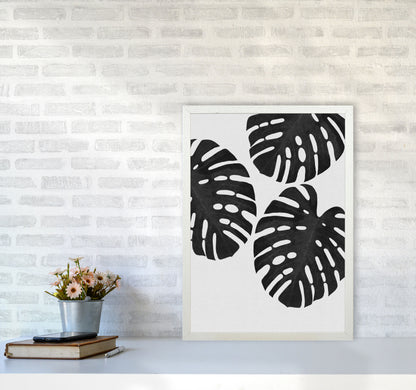 Monstera Black & White III Print By Orara Studio A2 Oak Frame