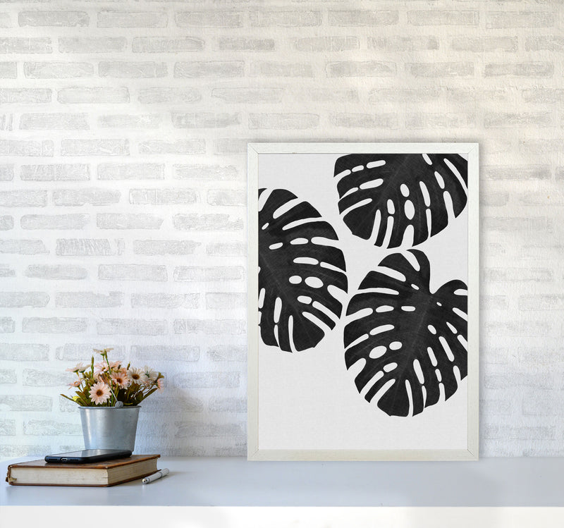 Monstera Black & White III Print By Orara Studio A2 Oak Frame