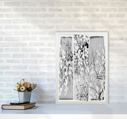 Oriental Blossom Botanical Art Print by Orara Studio A2 Oak Frame