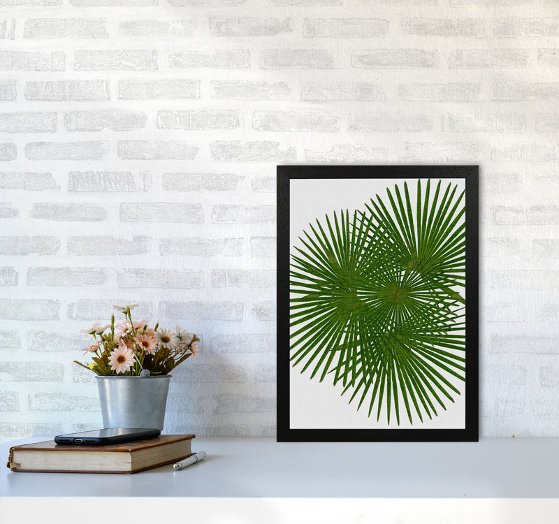 Fan Palm Print By Orara Studio, Framed Botanical & Nature Art Print A3 White Frame