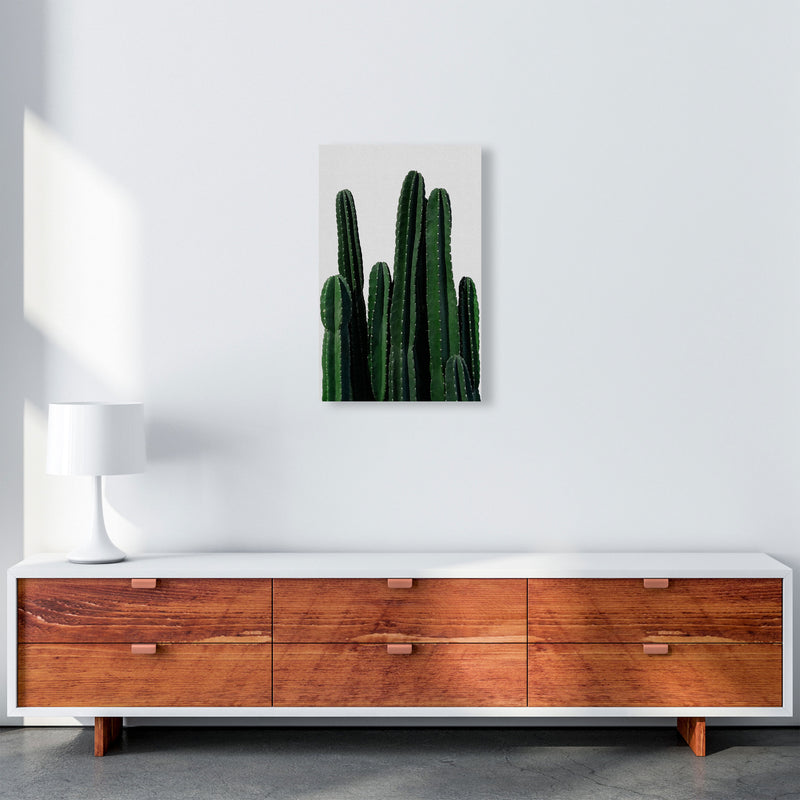 Cactus I Print By Orara Studio, Framed Botanical & Nature Art Print A3 Canvas