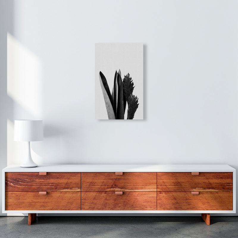 Flower Black & White Print By Orara Studio A3 Canvas