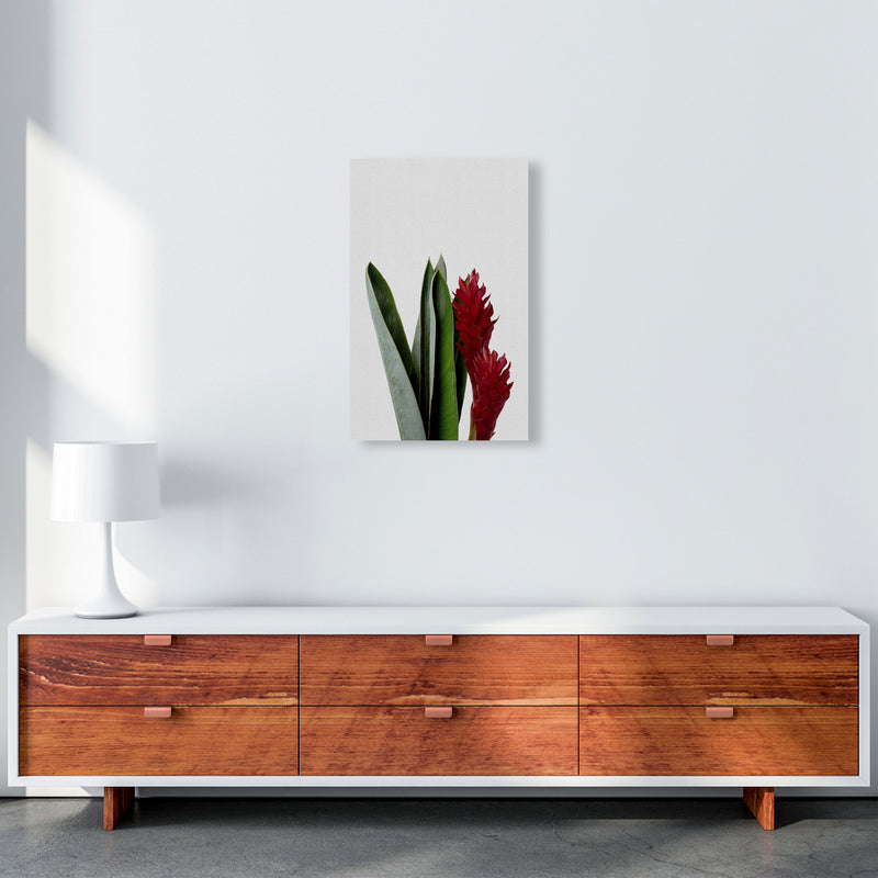 Red Flower Print By Orara Studio, Framed Botanical & Nature Art Print A3 Canvas