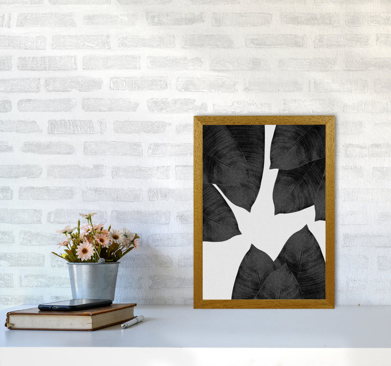 Banana Leaf Black & White I Print By Orara Studio A3 Print Only