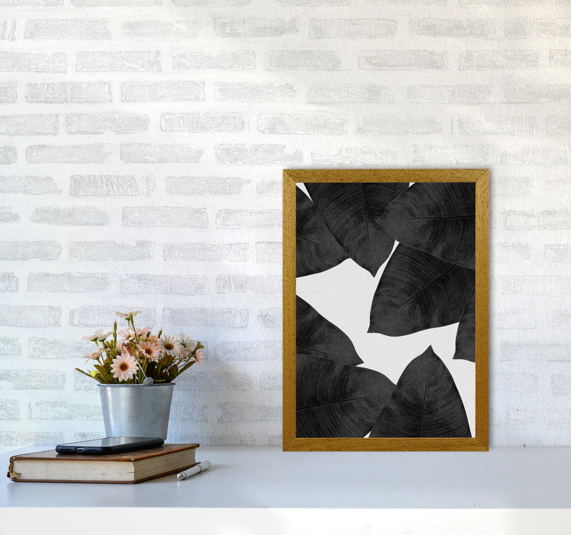 Banana Leaf Black & White II Print By Orara Studio A3 Print Only