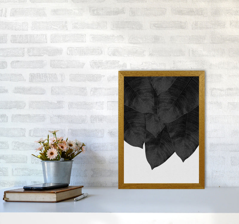 Banana Leaf Black & White III Print By Orara Studio A3 Print Only