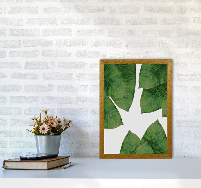 Banana Leaf I Print By Orara Studio, Framed Botanical & Nature Art Print A3 Print Only