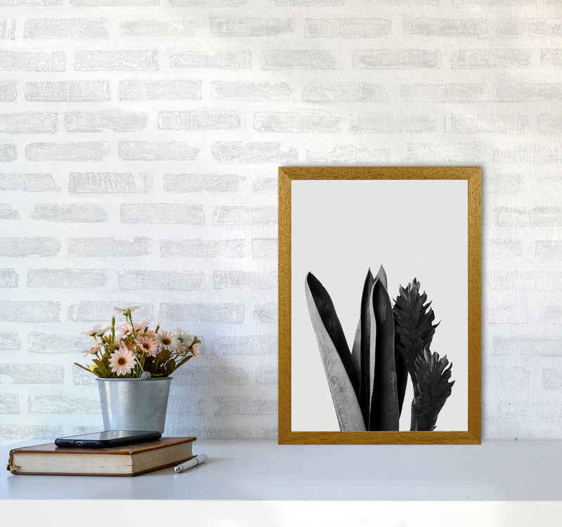Flower Black & White Print By Orara Studio A3 Print Only