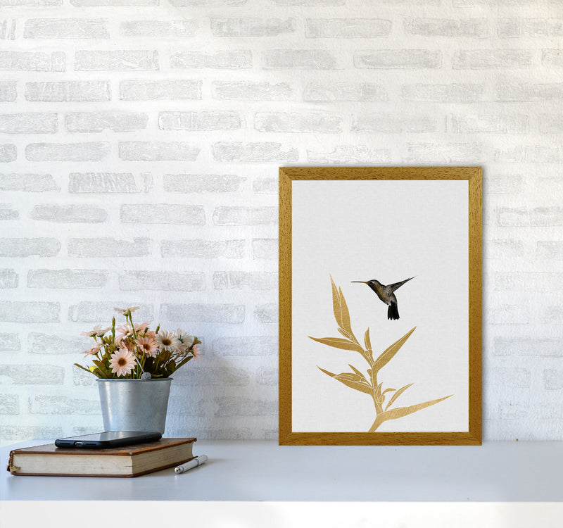 Hummingbird & Flower II Print By Orara Studio A3 Print Only