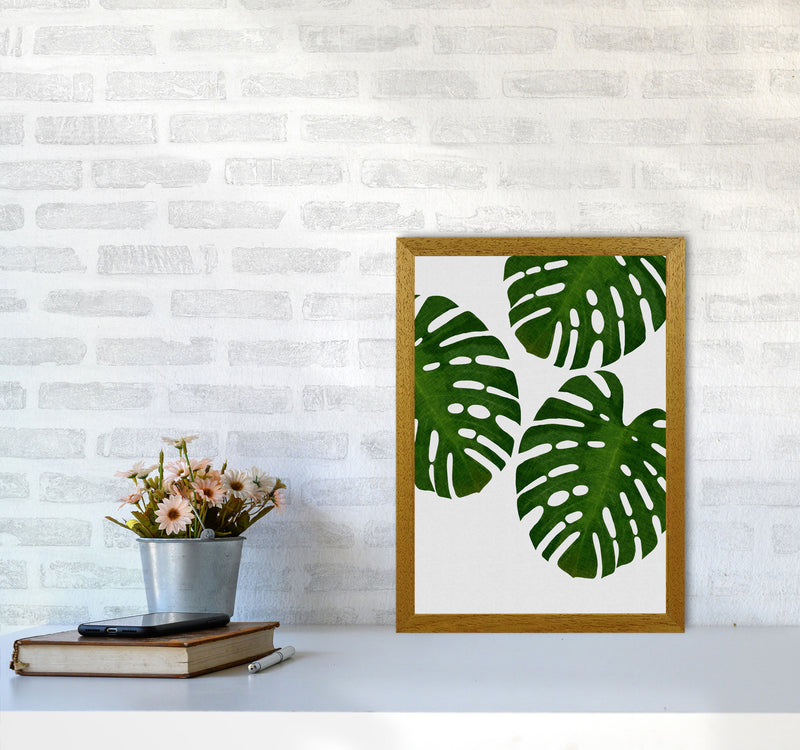 Monstera Leaf III Print By Orara Studio, Framed Botanical & Nature Art Print A3 Print Only