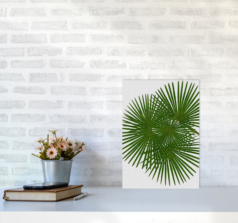 Fan Palm Print By Orara Studio, Framed Botanical & Nature Art Print A3 Black Frame