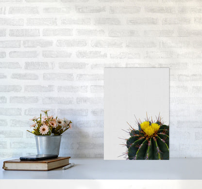 Flower Cactus Print By Orara Studio, Framed Botanical & Nature Art Print A3 Black Frame