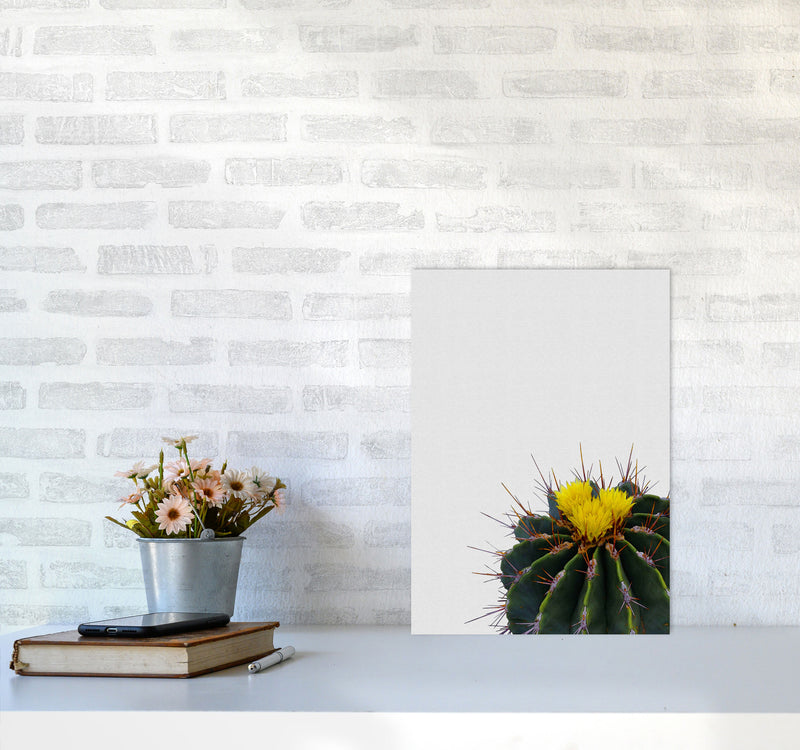 Flower Cactus Print By Orara Studio, Framed Botanical & Nature Art Print A3 Black Frame