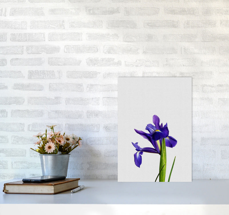 Iris Still Life Print By Orara Studio, Framed Botanical & Nature Art Print A3 Black Frame