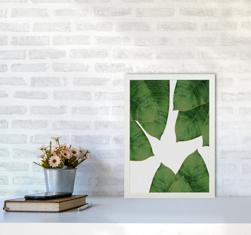 Banana Leaf I Print By Orara Studio, Framed Botanical & Nature Art Print A3 Oak Frame