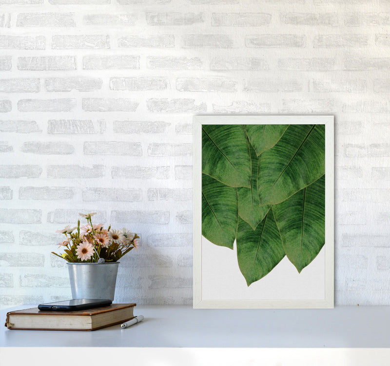 Banana Leaf III Print By Orara Studio, Framed Botanical & Nature Art Print A3 Oak Frame