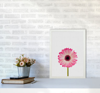 Daisy Still Life Print By Orara Studio, Framed Botanical & Nature Art Print A3 Oak Frame