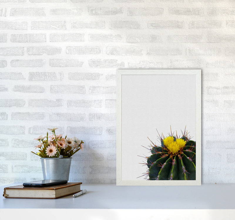 Flower Cactus Print By Orara Studio, Framed Botanical & Nature Art Print A3 Oak Frame