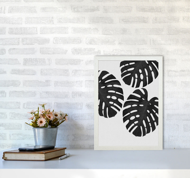 Monstera Black & White III Print By Orara Studio A3 Oak Frame