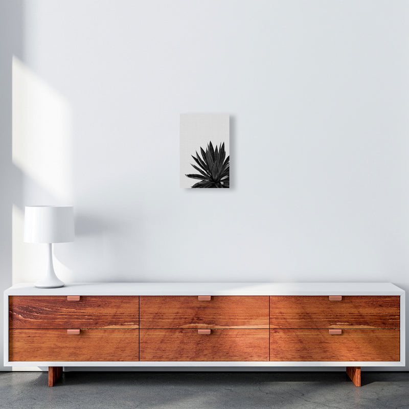 Agave Cactus Black And White Print By Orara Studio, Framed Botanical Nature Art A4 Canvas