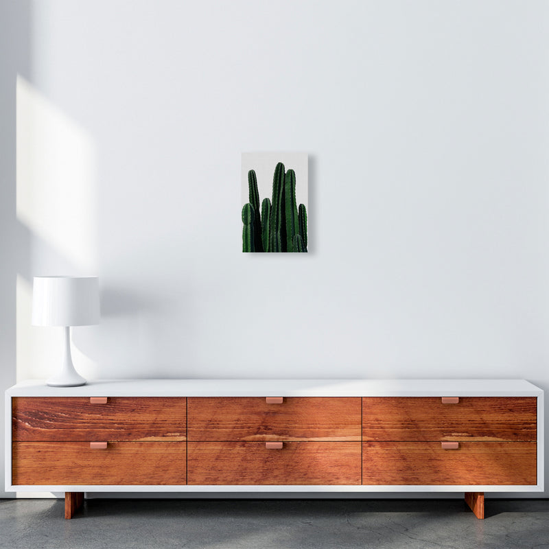 Cactus I Print By Orara Studio, Framed Botanical & Nature Art Print A4 Canvas