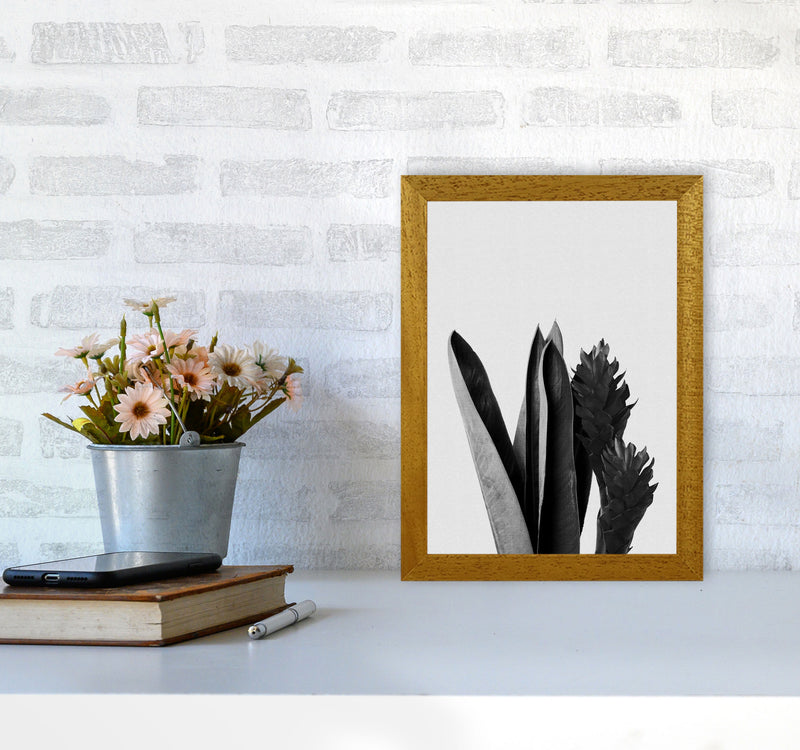Flower Black & White Print By Orara Studio A4 Print Only