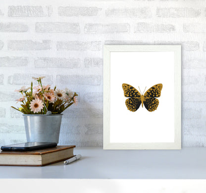 Black Butterfly Print By Orara Studio Animal Art Print A4 Oak Frame