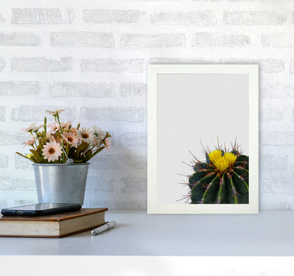 Flower Cactus Print By Orara Studio, Framed Botanical & Nature Art Print A4 Oak Frame
