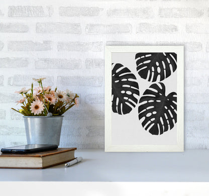 Monstera Black & White III Print By Orara Studio A4 Oak Frame