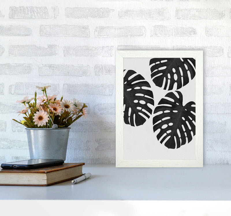 Monstera Black & White III Print By Orara Studio A4 Oak Frame