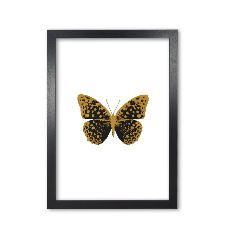 Black Butterfly Print By Orara Studio Animal Art Print Black Grain