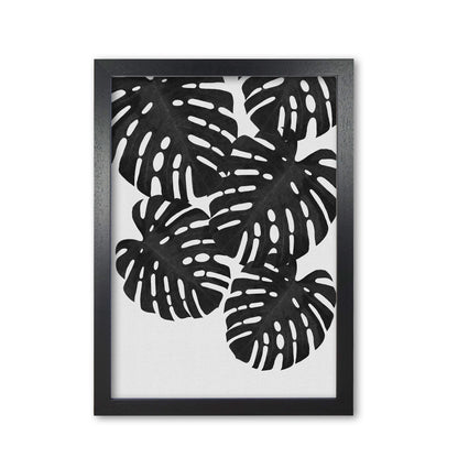 Monstera Black & White I Print By Orara Studio Black Grain