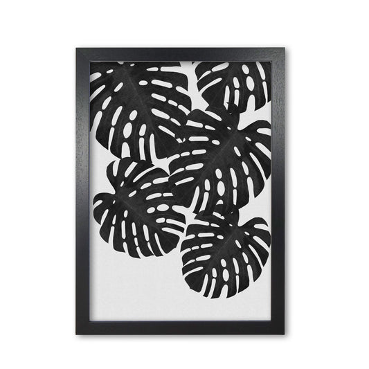 Monstera Black & White I Print By Orara Studio Black Grain