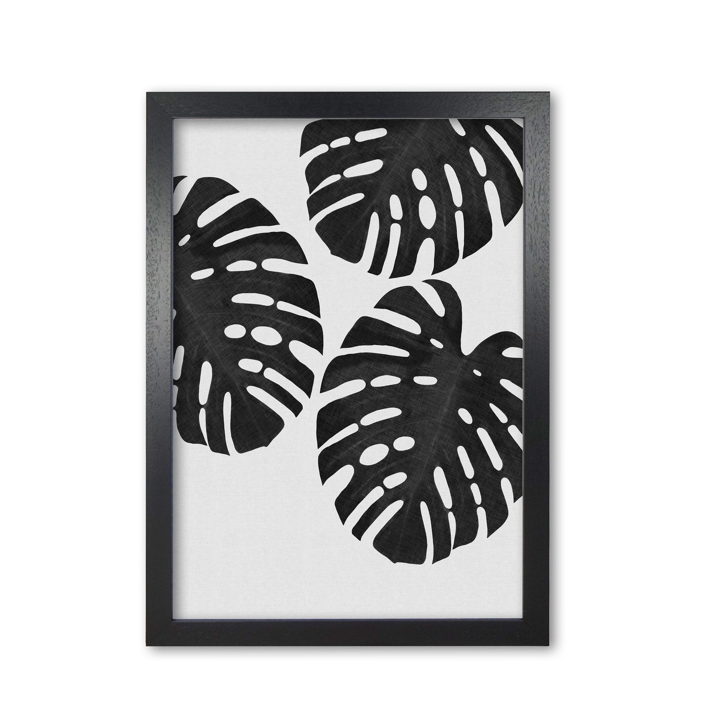 Monstera Black & White III Print By Orara Studio Black Grain