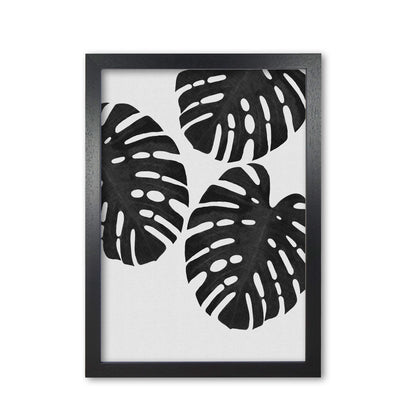 Monstera Black & White III Print By Orara Studio Black Grain